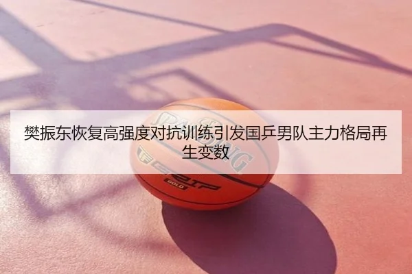 樊振东恢复高强度对抗训练引发国乒男队主力格局再生变数